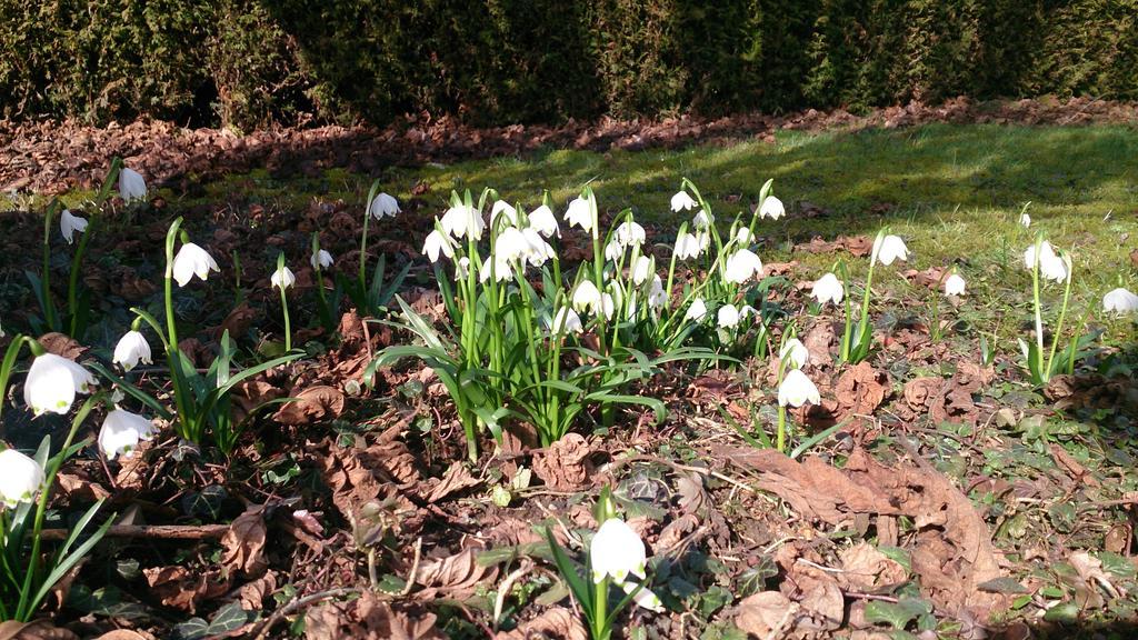 Der Platengarten Ansbach Kültér fotó