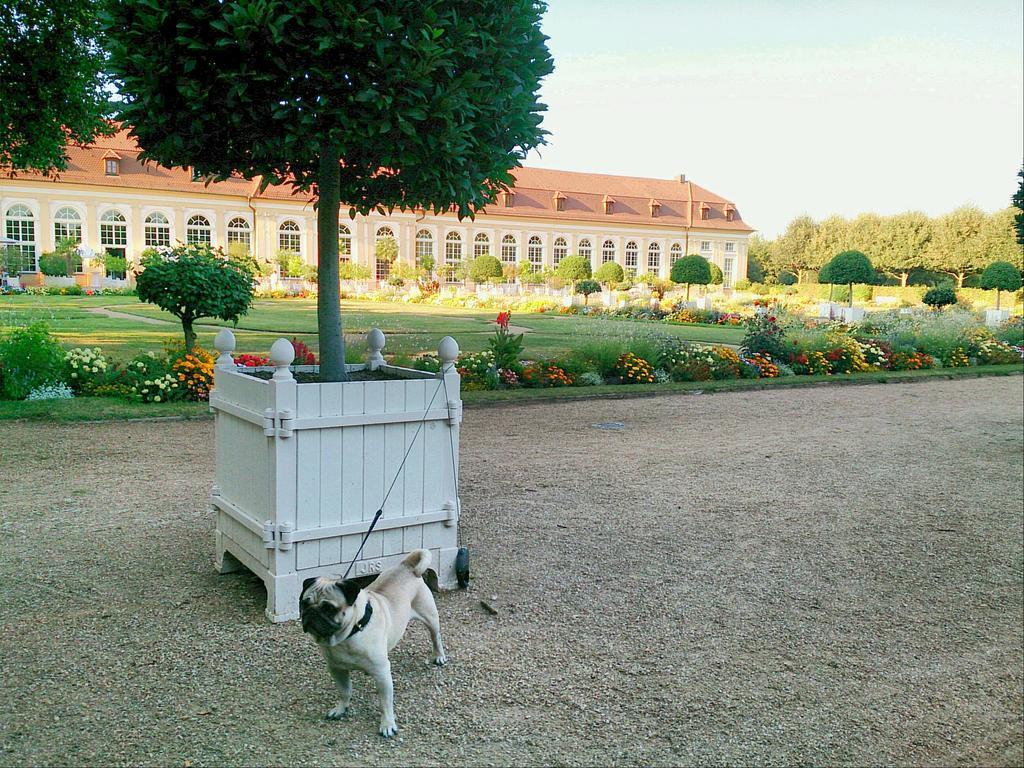 Der Platengarten Ansbach Kültér fotó